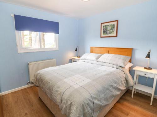 a bedroom with a bed with blue walls and a window at Llety'r Bugail in Caernarfon