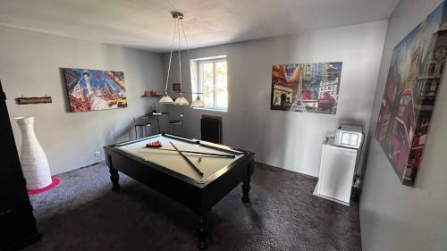 a room with a pool table in the middle of it at Chambre au petit Chateau in Tourcoing