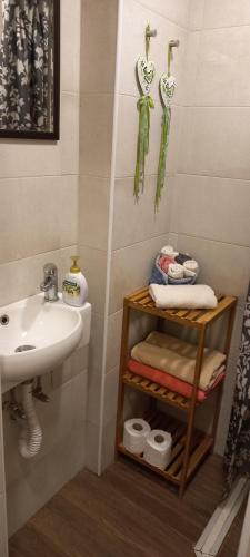 a bathroom with a sink and a towel rack at Embassy Apartment in Sofia