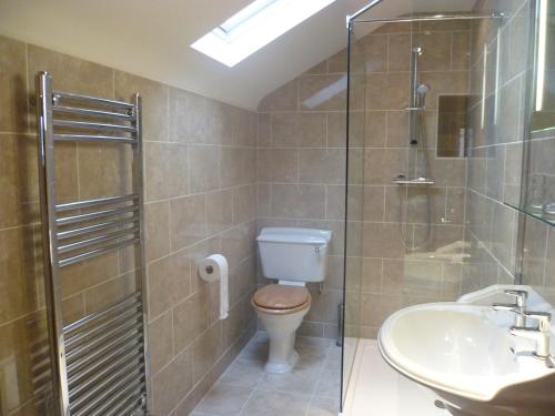 a bathroom with a toilet and a sink and a shower at Moor View in Ingleton 