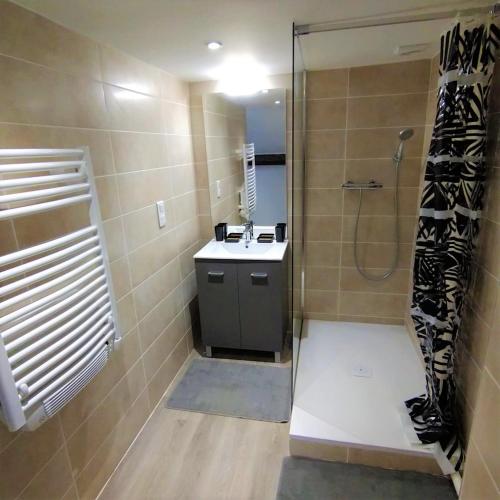 une salle de bain avec douche et lavabo dans l'établissement Halles Brauhauban Tarbes - T6 en collocation - Louez votre chambre, à Tarbes