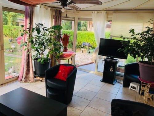 a living room with a tv and some plants at La petite maison de Paule in Amilly