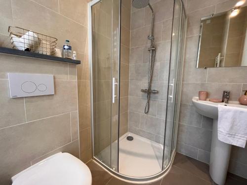 a bathroom with a shower and a toilet and a sink at Le Clos Joli in Haybes