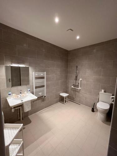 a bathroom with a sink and a toilet at Le Clos Joli in Haybes