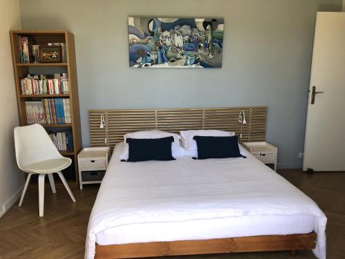 a bedroom with a large bed and a book shelf at Beautiful T3 terrasse Nice in Nice