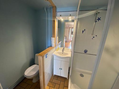 uma casa de banho com um WC, um lavatório e um chuveiro em Maisonnette hameau des pins em Saint-Jean-de-Monts