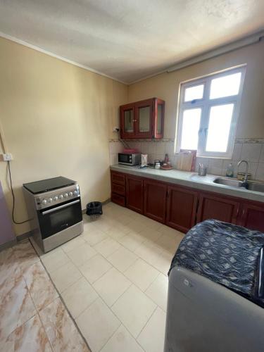 a kitchen with a stove and a sink in it at Baie du Tombeau Apartment in Baie du Tombeau