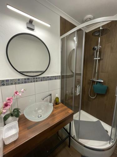 a bathroom with a sink and a shower with a mirror at Agroturystyka Siekierczyn 249 - Lubań 7 km in Siekierczyn