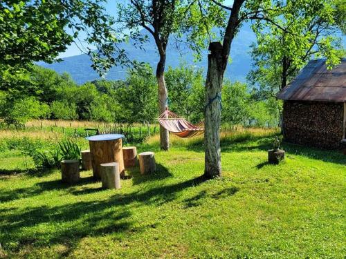 Κήπος έξω από το Etno guest house Lalovic