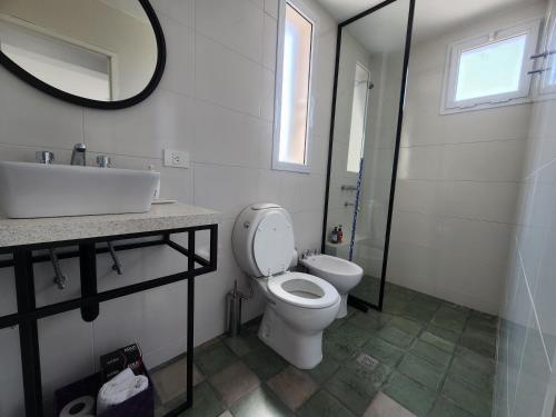 a bathroom with a toilet and a sink and a mirror at CASA MARGARITA 5Piso Mono Verde Oscuro in San Salvador de Jujuy