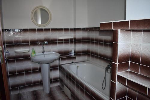 a bathroom with a sink and a bath tub at Penzion243 in Tábor
