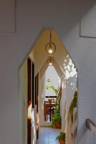 Φωτογραφία από το άλμπουμ του Hotel Hulku στην Πλαγιά Ντελ Κάρμεν