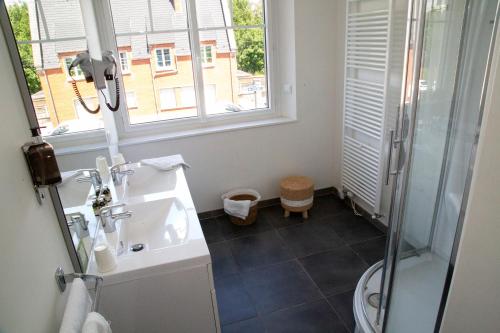 a bathroom with a shower and a sink and a window at LOGIS - Hôtel Restaurant Du Canard in Hangest-sur-Somme