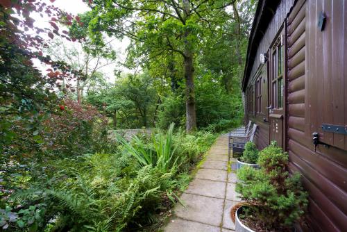 a garden with plants on the side of a house at Low Tarn Lodge in Elterwater