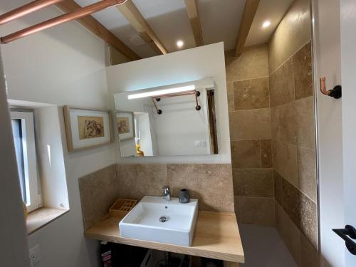 een badkamer met een wastafel en een douche bij Meublé de tourisme 4 étoiles Logis Riquet proche de Carcassonne in Caux-et-Sauzens