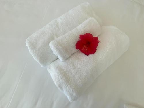 a white towel with a red flower on it at RIZOZAIZEN MOTOBU C in Motobu