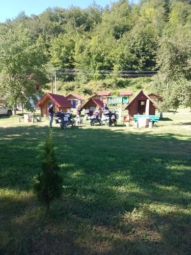 a group of people in a park with a playground at Camp &Apartmens Scepanovic in Mojkovac