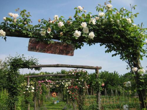 a floral arch in an garden with roses at Maso Di Villa Relais di Campagna in Susegana
