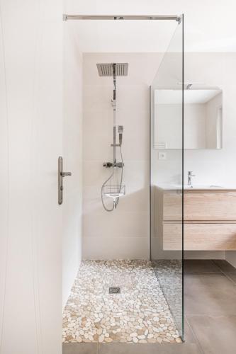 une douche avec une porte vitrée dans une salle de bain dans l'établissement Nidam, à Bilieu