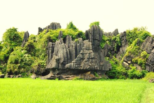 a large rock formation in a field of grass at RAMMANG-RAMMANG HOUSE in Maros