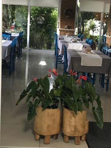 two potted plants in a restaurant with tables and chairs at Chaliotis Apartments in Lefkandi Chalkidas