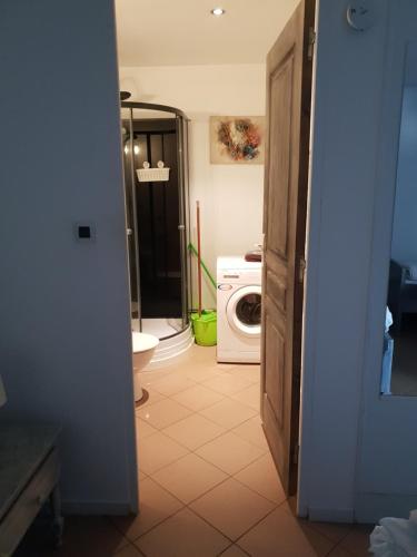 a bathroom with a toilet and a washing machine at les gites de l'océan indien in Batzendorf