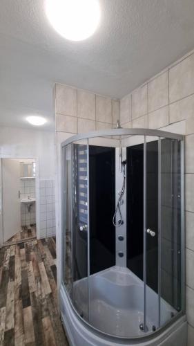 een badkamer met een douche met een glazen wand bij Ferienwohnung Nordhausen in Nordhausen