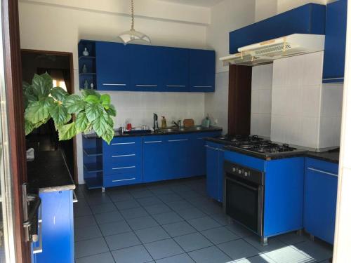 een blauwe keuken met een fornuis en blauwe kasten bij Pensiunea Tisa in Baile Felix
