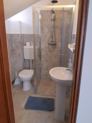 a bathroom with a shower and a toilet and a sink at Pensiunea Tisa in Baile Felix