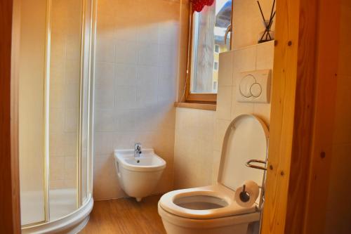 La petite salle de bains est pourvue d'une douche et de toilettes. dans l'établissement Appartamento 1 Baita Sosio Livigno, à Livigno