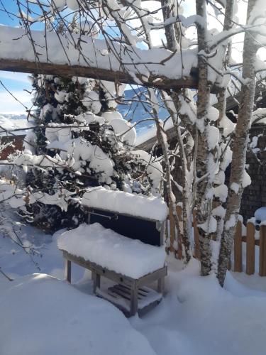 a bench covered in snow next to a tree at Hüttenzauber in Taxenbach