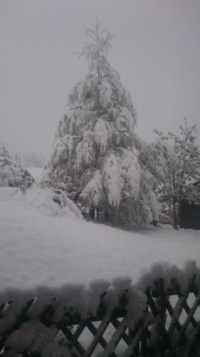 a christmas tree covered in snow behind a fence at Hüttenzauber in Taxenbach