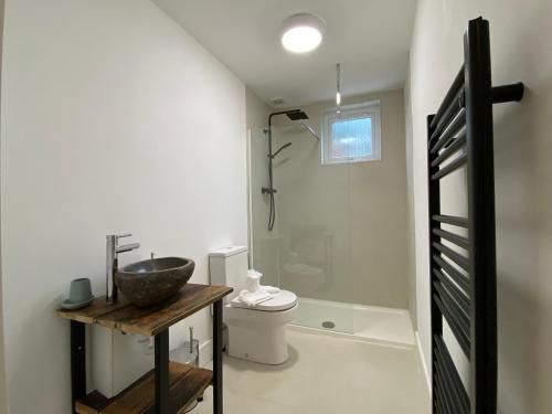 y baño con lavabo, aseo y ducha. en De Parys Self-Catering Flat 2 in Bedford en Bedford