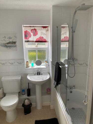 a bathroom with a toilet and a sink and a shower at The Welcome Home in Sleaford