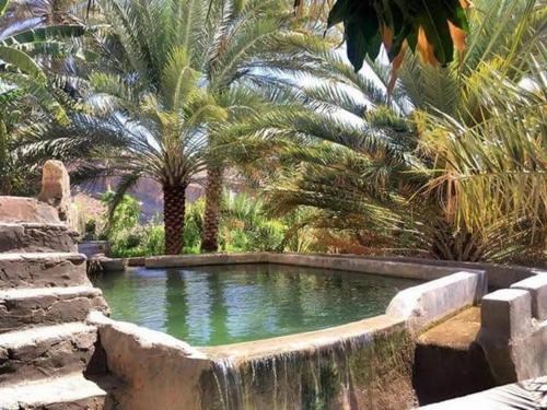 a pool with a waterfall in a garden with palm trees at نزل حارة المسفاة Harit AL Misfah Inn in Misfāh