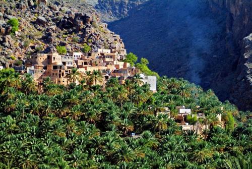 a village on the side of a mountain with palm trees at نزل حارة المسفاة Harit AL Misfah Inn in Misfāh