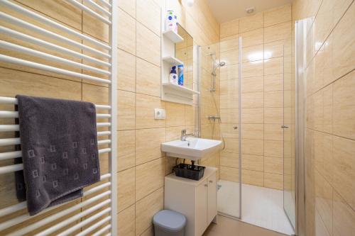 a bathroom with a toilet and a sink and a shower at revLIVING Apartments Eggenburg - Garten - Netflix - Disney Plus - Nespresso in Eggenburg