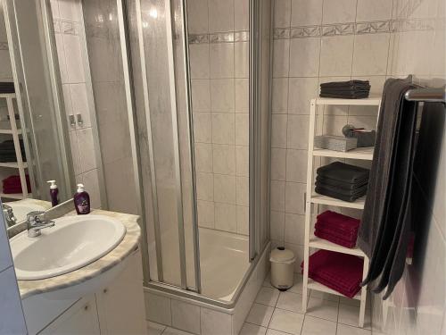 a bathroom with a shower and a sink at Ferienwohnung Dieblich an der Mosel in Dieblich