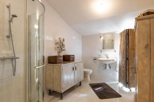 een badkamer met een douche, een wastafel en een toilet bij Gastenverblijf Volkel in Volkel