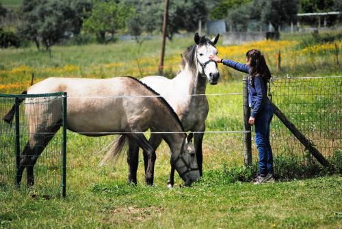 a woman standing next to two horses in a field at Monte Calmaria by Estilo Lusitano, with private pool and Jacuzzi in Grândola
