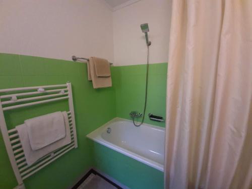 a green bathroom with a bath tub and a shower curtain at Cozy Chalet by Interlaken. Parking in Ringgenberg
