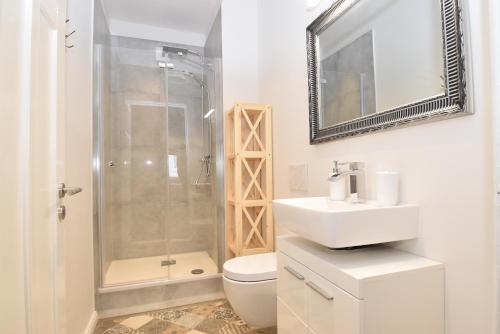 een badkamer met een douche, een toilet en een wastafel bij fewo1846 - Stadtbude - komfortable 2-Zimmer-Wohnung mitten im Stadtzentrum in Flensburg