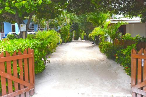 a pathway with plants and trees and a fence at Laura's Lookout in Caye Caulker