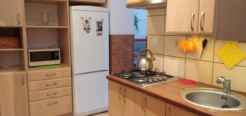 a kitchen with a white refrigerator and a sink at Słoneczny Zakątek in Jaworki