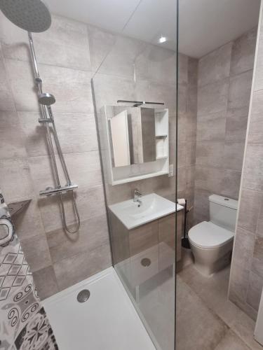 une salle de bain avec toilettes, lavabo et douche dans l'établissement Appartement T2 45 M2 Meublé 3 étoiles tout confort hyper centre de Dax, à Dax