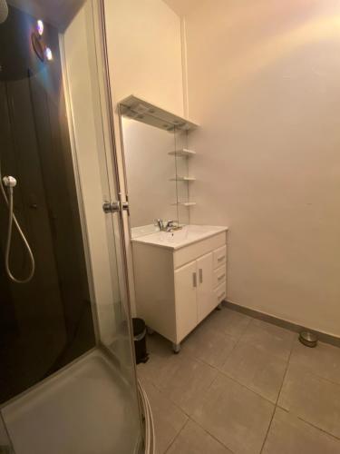 une salle de bain avec un lavabo et une douche avec un miroir dans l'établissement Cœur de ville au 1er 66M2, vu sur la place, à Gap