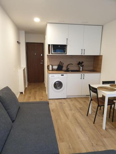 a living room with a couch and a table and a kitchen at Studio rent in Zarasai in Zarasai