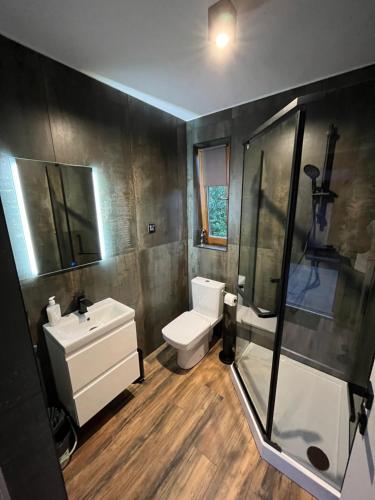 a bathroom with a sink and a toilet and a shower at Domki Platan w Karkonoszach in Kowary