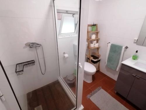 a bathroom with a shower with a toilet and a sink at Casa do Lajedo in Porto Martins