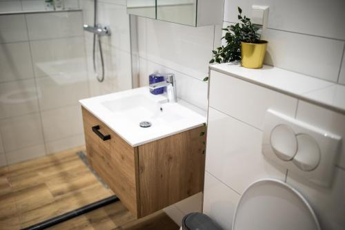 een badkamer met een wastafel, een douche en een toilet bij Quality 2 Bedroom Serviced Apartment 72m2 -VP2A- in Rotterdam